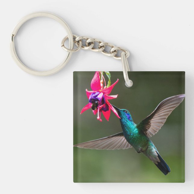 A Lesser Violetear Hummingbird Keychain (Front)
