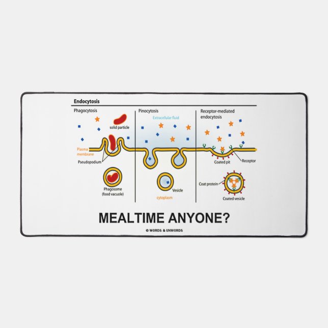 À L'Heure Du Repas, Quelqu'Un ? Endocytose Humour  (Recto)