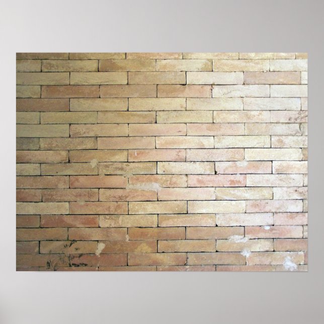 A Light Coloured Brick Wall Poster (Front)