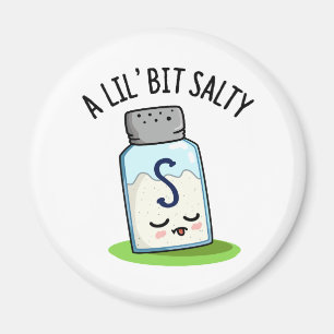 A Lil Bit Salty Funny Salt Shaker Pun  Magnet