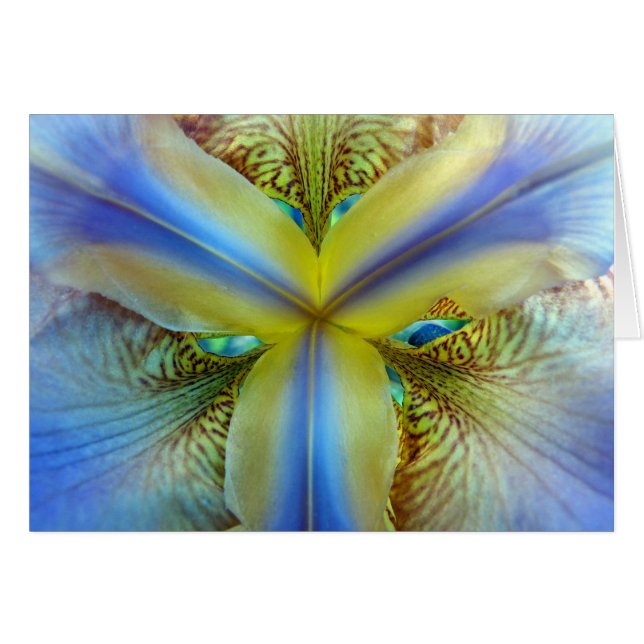 A l'intérieur de Iris (Devant horizontal)