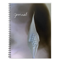 A l'intérieur du Carnet photo Spiral