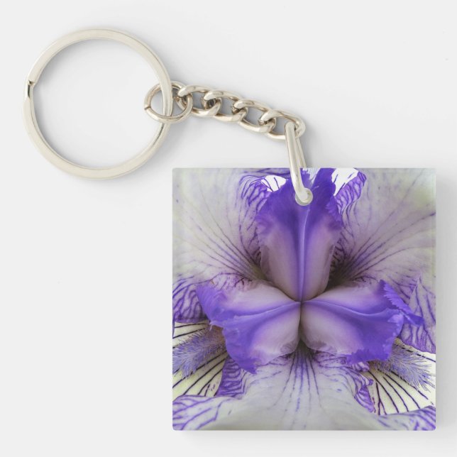 À l'intérieur d'un Iris (Devant)