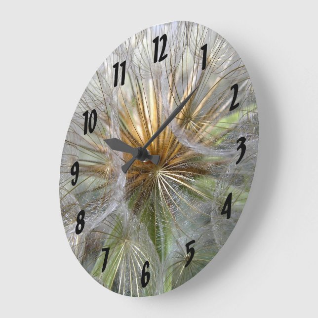 À L'Intérieur D'Une Horloge De Dandelion Gros Plan (Angle)