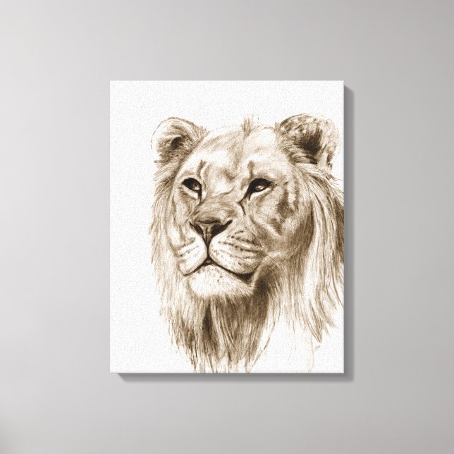 A Lion - Without Pride, Drawing, Sketch Art Canvas Print (Front)