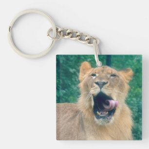 A Lions Roar Keychain