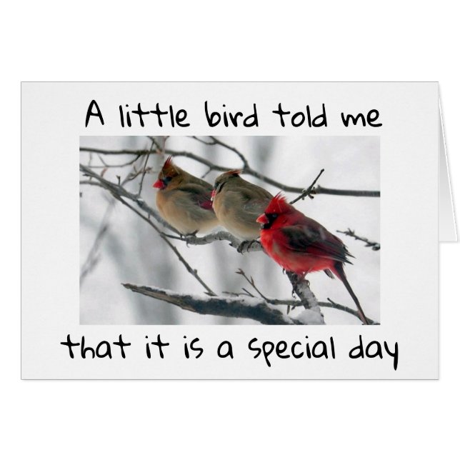 A LITTLE BIRD TOLD ME IT IS ****OUR SPECIAL DAY*** (Front Horizontal)