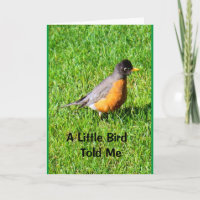 A Little Bird Told Me It's Your Birthday!