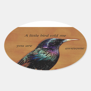 A Little Bird Told Me Starling Bird Photograph Oval Sticker