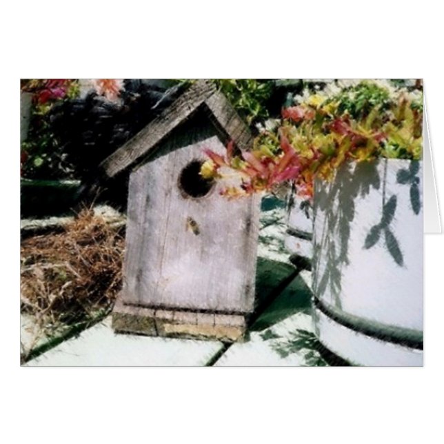 A little birdie told me ... (Front Horizontal)