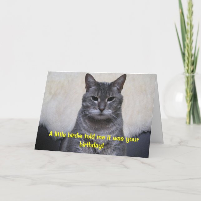 A little birdie told me it was your Birthday... Card (Front)