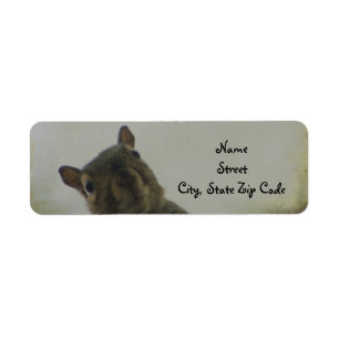 A Little Bit Squirrelly