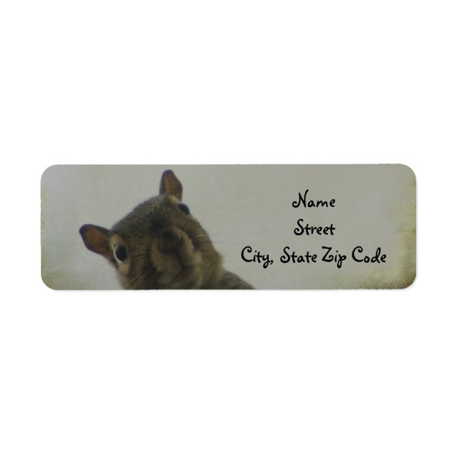 A Little Bit Squirrelly (Front)