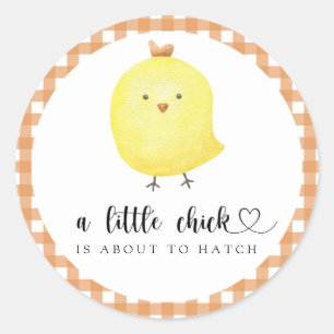 A little Chick is about to hatch Baby shower  Classic Round Sticker