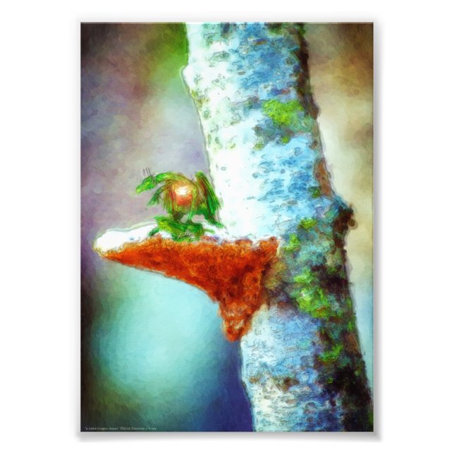 A Little Dragon Sleeps Photo Print (Front)