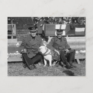 A Little Lower Please, 1920s Postcard