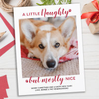 A Little Naughty Personalized Dog Pet Photo Holida