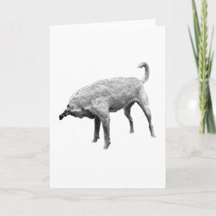 A Little Nose-Check Cheer Card