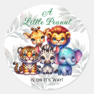 A Little Peanut is on It's Way   Baby Shower Classic Round Sticker