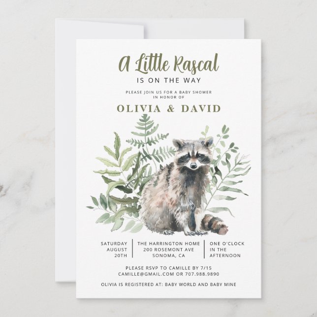 A Little Rascal On The Way Raccoon Baby Shower Invitation (Front)