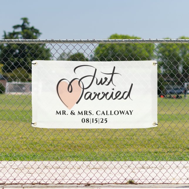A Little Retro Just Married Car Banner (Insitu)
