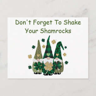 A Little Shamrock Humour Postcard