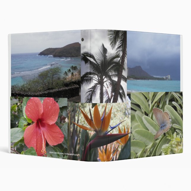 A Little Slice of Paradise binder (Background)