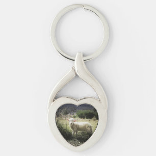 a little white lamb behind a fence in a field keychain