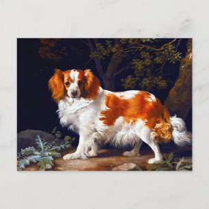 A Liver and White Charle Spaniel by George Stubbs Postcard