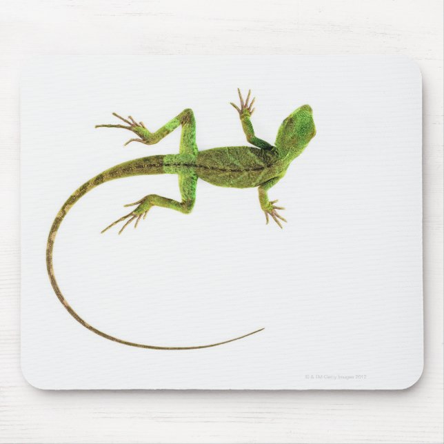 A lizard on pure white ground mouse pad (Front)