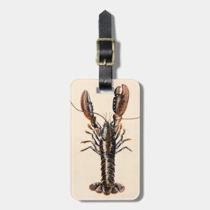 A Lobster from Solva Luggage Tag