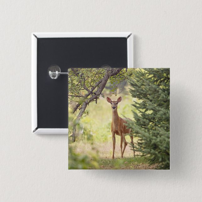 A Lone Deer  2 Inch Square Button (Front & Back)