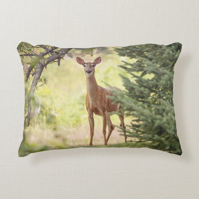 A Lone Deer  Accent Pillow (Front)