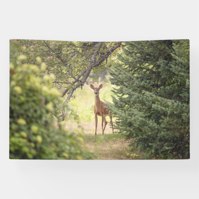 A Lone Deer  Banner (Horizontal)