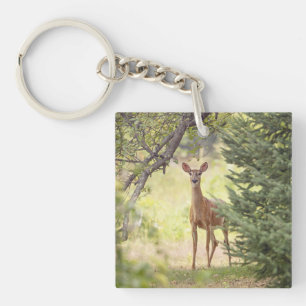 A Lone Deer  Keychain