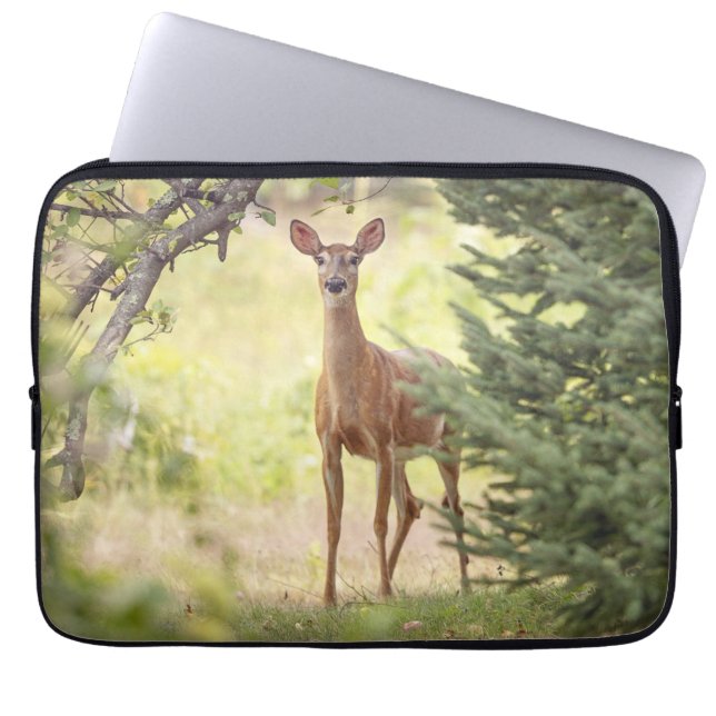 A Lone Deer  Laptop Sleeve (Front)