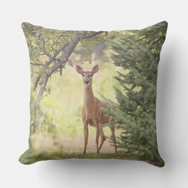 A Lone Deer  Outdoor Pillow (Front)