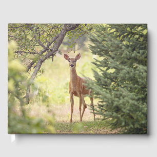 A Lone Deer Personal name and date Guest Book