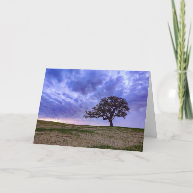 A Lone Tree Card (Front)
