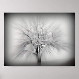 A lone tree on the ND prairie Poster