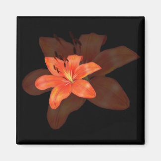 A Lonely Lily magnet