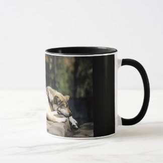 A Long Day Mug