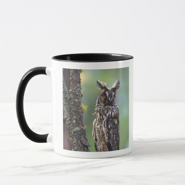 A long-eared owl perched on a tree branch mug (Left)