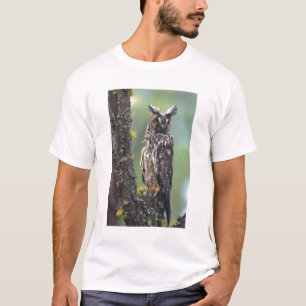 A long-eared owl perched on a tree branch T-Shirt