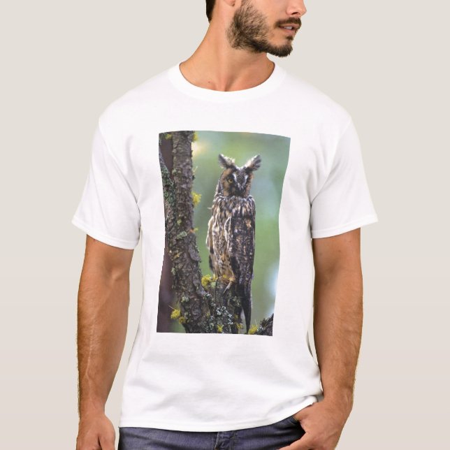 A long-eared owl perched on a tree branch T-Shirt (Front)