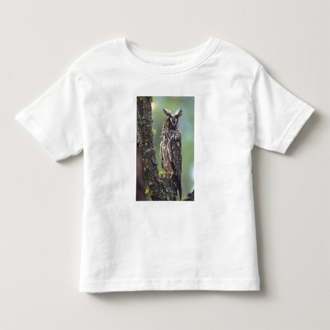 A long-eared owl perched on a tree branch toddler t-shirt (Front)