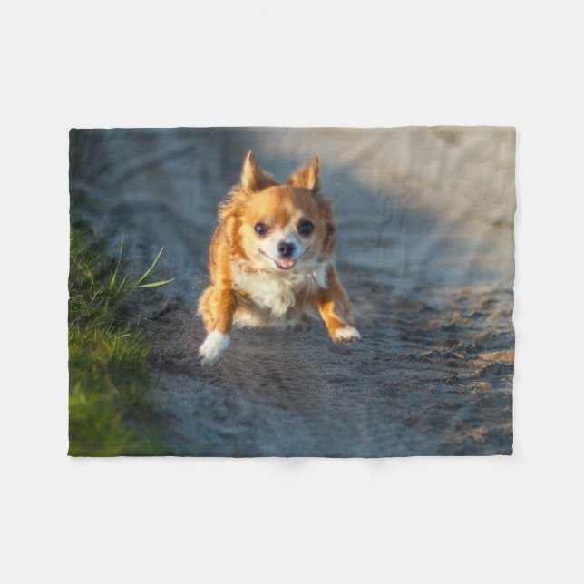 A long haired brown and white Chihuahua Running Fleece Blanket (Front (Horizontal))