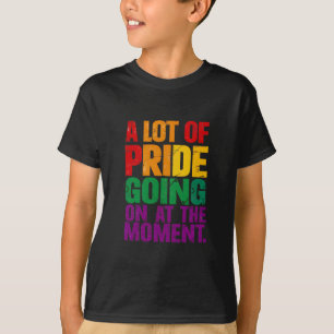 A Lot Of Pride Going On At Moment LGBT Pride Month T-Shirt