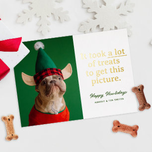 A Lot of Treats Happy Howlidays Funny Pet Foil Holiday Card