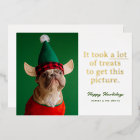 A Lot of Treats Happy Howlidays Funny Pet